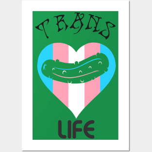 Trans life pickle Posters and Art